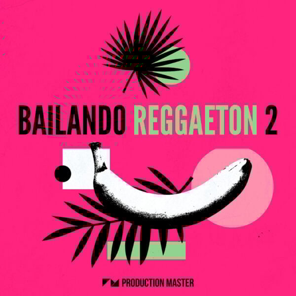 Bailando Reggaeton 2