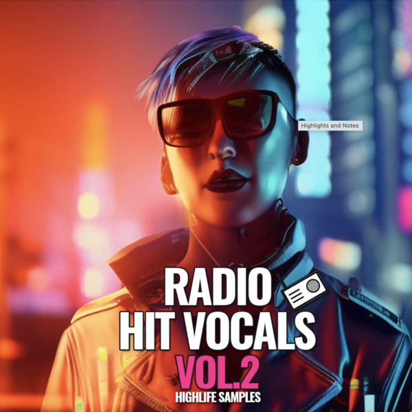 Radio Hit Vocals Vol.2