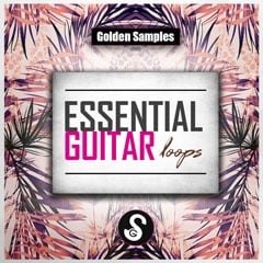 Essential Guitar Loops Vol 1-0
