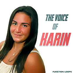 The Voice Of Karin - Vocal Construction Kits-0