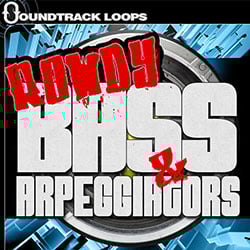 Rowdy Bass & Arpeggiators-0