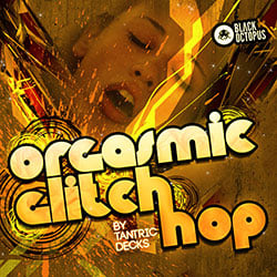 Orgasmic Glitch Hop -0