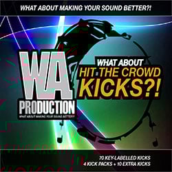What About: Hit The Crowd Kicks-0