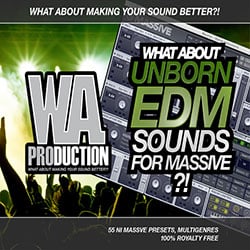What About: Unborn EDM Sounds For Massive-0