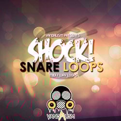 Shock! Snare Loops-0