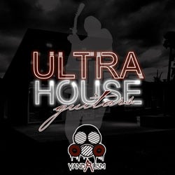 Ultra House Guitars-0