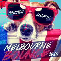 Summer Melbourne Bounce 2015-0