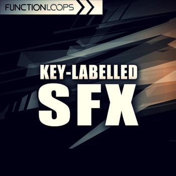 Key Labelled SFX-0