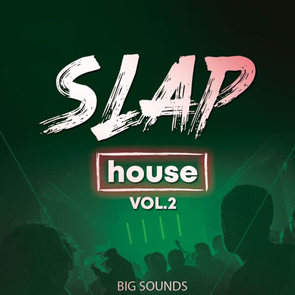 Big Sounds Slap House Vol 2
