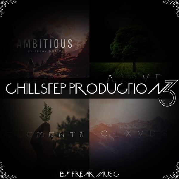 Chill Step Production 3