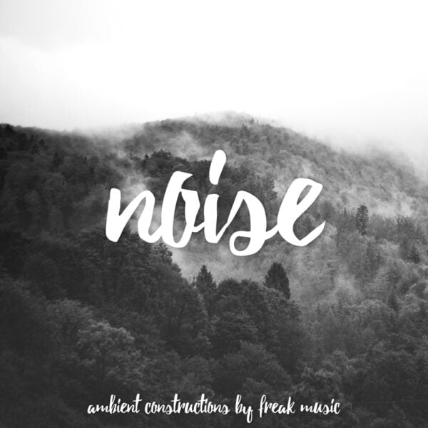 Noise