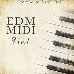 EDM MIDI 9-in-1-0