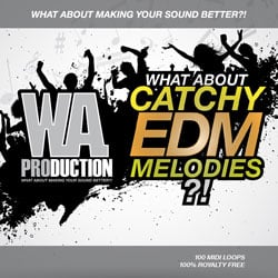 What About: Catchy EDM Melodies-0