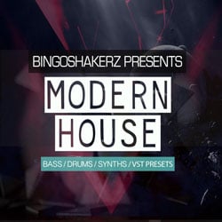 Modern House-0