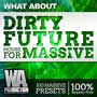 Native Instruments Massive Future House Presets
