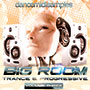 DMS Big Room Trance & Progressive 3