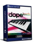 New In WAV Loops: Dope Leads - Hip Hop