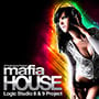 Swedish House Logic Template