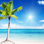 Check out of Tropical House section!