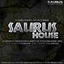 TTS Tone2 Saurus House Sounds