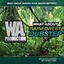 Ethnic Samples For Dubstep Released