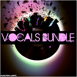 Vocals Bundle From Function Loops-0