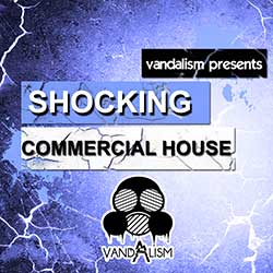 Shocking Commercial House-0