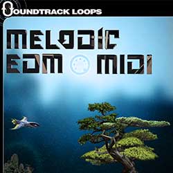 Melodic EDM MIDI-0