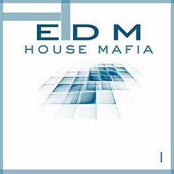 EDM House Mafia Vol 1-0