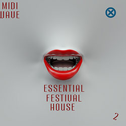 Essential Festival House Vol 2-0