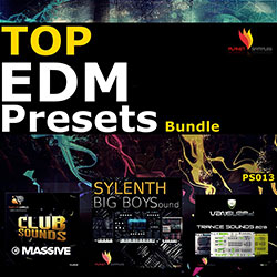 Top EDM Presets Bundle-0