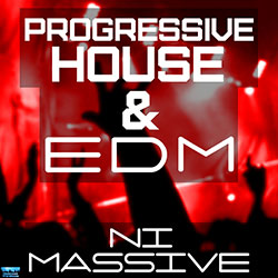 Progressive House & EDM For NI Massive-0