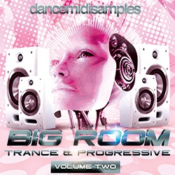 DMS Big Room Trance & Progressive Vol 2-0