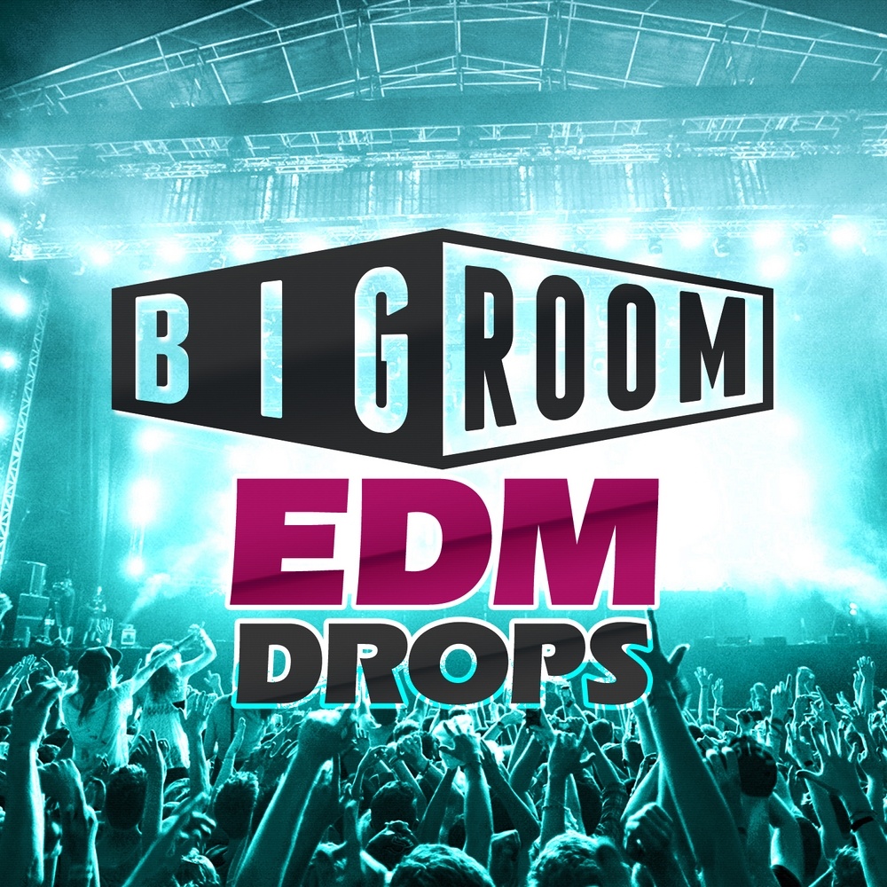 Bigroom EDM Drops-0