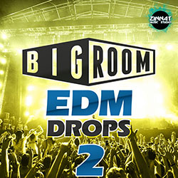 Bigroom EDM Drops 2-0