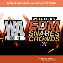 What About: EDM Snares & Crowds-0