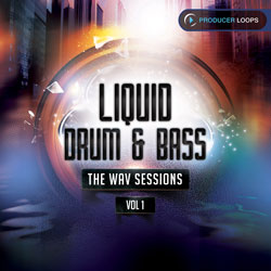 Liquid Drum & Bass: The WAV Sessions Vol 1-0