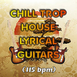 Chill-Trop House Lyrical Guitars-0