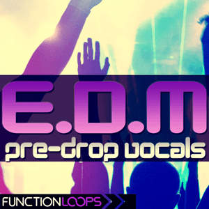 EDM Pre-Drop Vocals-0