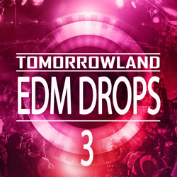 Tomorrowland EDM Drops 3-0