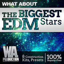 What About: The Biggest EDM Stars-0