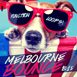 Summer Melbourne Bounce 2015-0