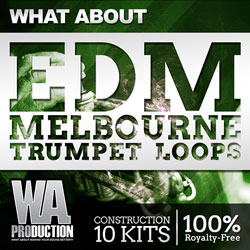 What About: EDM Melbourne Trumpet Loops-0