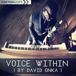 Voice Within by David Onka-0