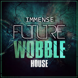 Immense Future Wobble House-0