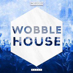 Wobble House-0