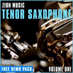 Tenor Sax Vol 1 - Free Loops-0