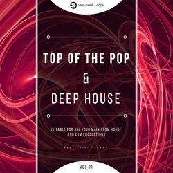 Top Of The Pop & Deep House Vol 1-0