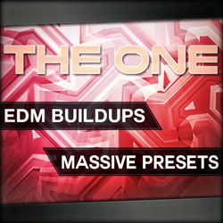 THE ONE: EDM Buildups-0