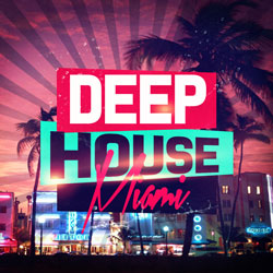 Deep House Miami-0